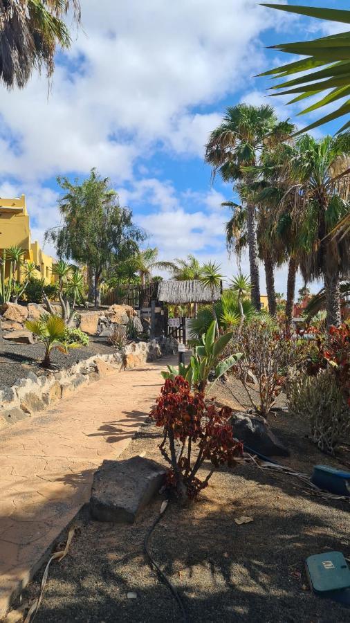 Appartement Casa Esperanza Dunas - Amazing With Stunning View *